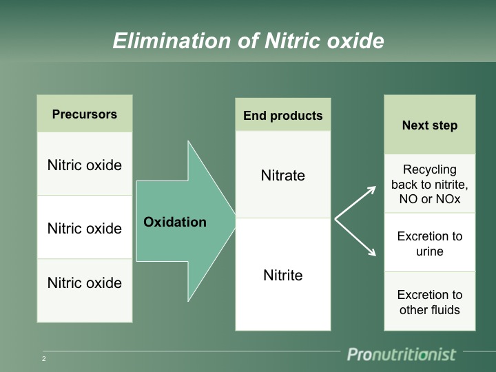 Nitrates In Urine