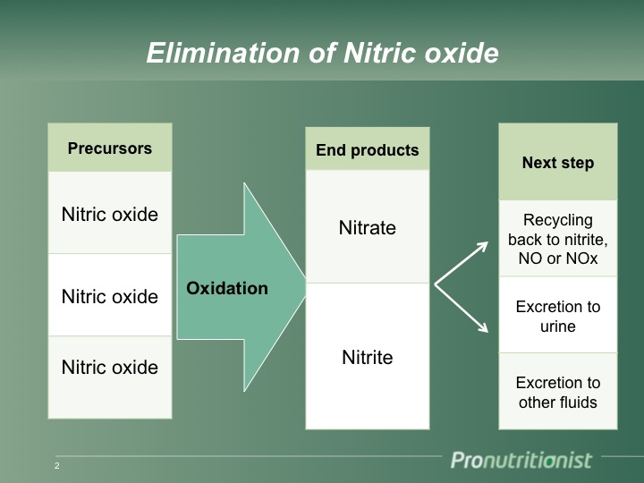 Nitrates In Urine PPT Abnormal Composition Of Urine PowerPoint