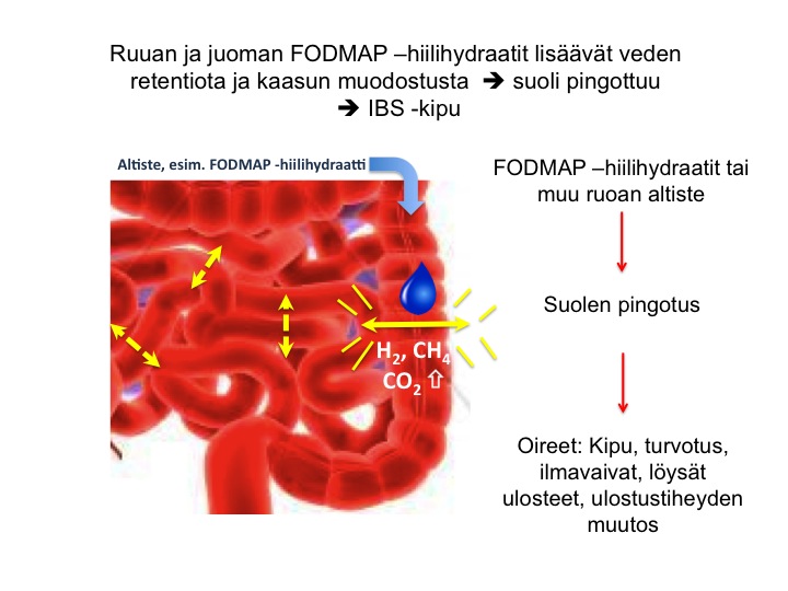 ärtyvän suolen oireyhtymä ruokavalio