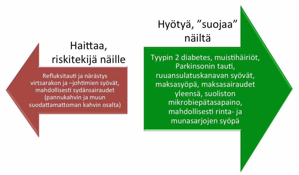 kahvi study